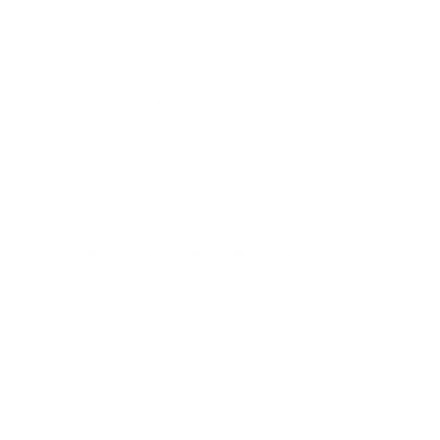 2026 Reale Film Festival Best Experimental Film Honorable Mention